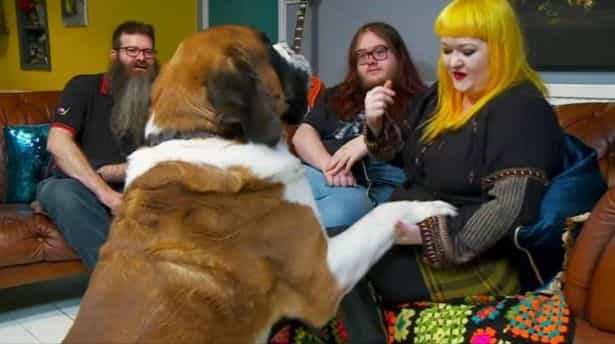 Everyone had the same reaction to this absolute tank of a dog on Gogglebox Everyone had the same reaction to this absolute tank of a dog on Gogglebox
