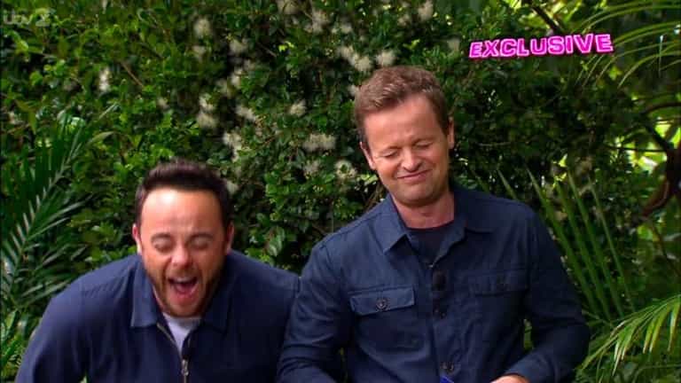 Here’s who’s tipped to replace Ant and Dec on I’m a Celebrity Here’s who’s tipped to replace Ant and Dec on I’m a Celebrity