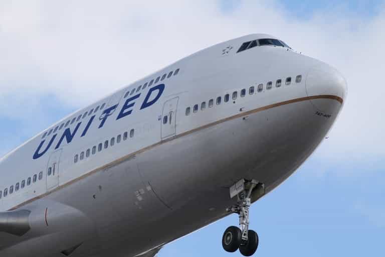 Puppy dies after owner is forced to put it in overhead bin on flight Puppy dies after owner is forced to put it in overhead bin on flight