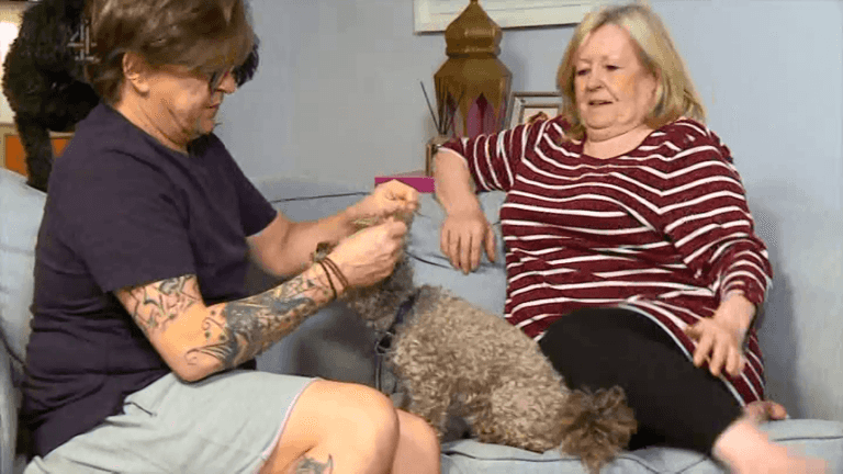 Gogglebox viewers furious with Stephen Webb’s treatment of his dog last night Gogglebox viewers furious with Stephen Webb’s treatment of his dog last night