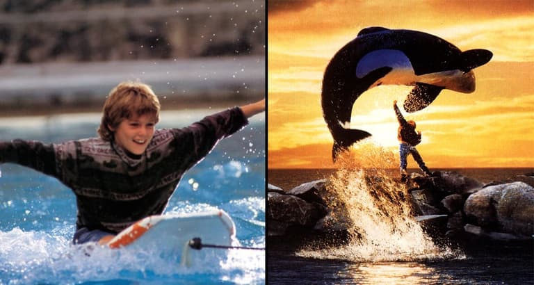 Jesse from Free Willy has returned to acting and is worth a fortune Jesse from Free Willy has returned to acting and is worth a fortune