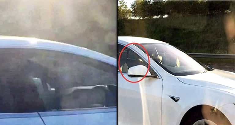 Man banned from driving for riding Tesla down motorway in passenger seat Man banned from driving for riding Tesla down motorway in passenger seat