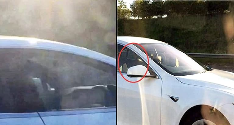 Man banned from driving for riding Tesla down motorway in passenger seat Man banned from driving for riding Tesla down motorway in passenger seat
