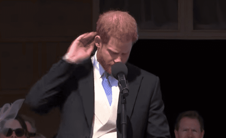 Prince Harry attacked by a bee during speech and Meghan had brilliant response Prince Harry attacked by a bee during speech and Meghan had brilliant response