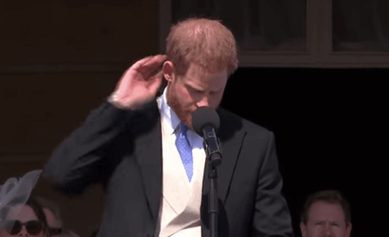 Prince Harry attacked by a bee during speech and Meghan had brilliant response Prince Harry attacked by a bee during speech and Meghan had brilliant response