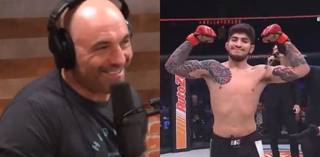 Joe Rogan’s reaction to Dillon Danis’ smack talk was pretty gas Joe Rogan’s reaction to Dillon Danis’ smack talk was pretty gas