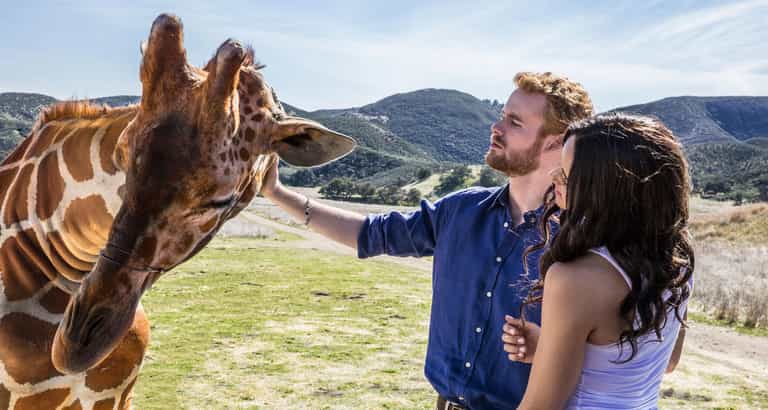 A spectacularly cringe-inducing American TV movie about Harry and Megan is on tonight A spectacularly cringe-inducing American TV movie about Harry and Megan is on tonight