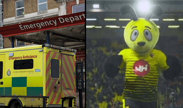 Watford’s mascot Harry Hornet has broken his arm while taking a penalty Watford’s mascot Harry Hornet has broken his arm while taking a penalty