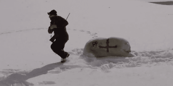 WATCH: Have Paddy Power really just spray-painted a polar bear with the England flag? WATCH: Have Paddy Power really just spray-painted a polar bear with the England flag?