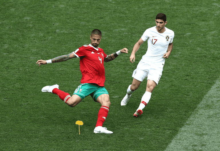 World Cup moments but with dandelions instead of a football World Cup moments but with dandelions instead of a football