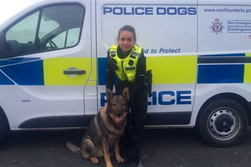 Police officer sacked after calling takeaway staff ‘f****** P***’