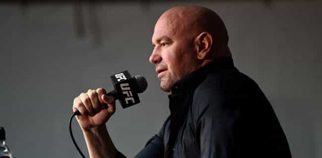 Dana White tries to humiliate Brendan Schaub with remarkably insulting rant Dana White tries to humiliate Brendan Schaub with remarkably insulting rant