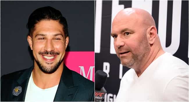 Brendan Schaub’s response to Dana White is simply astonishing Brendan Schaub’s response to Dana White is simply astonishing