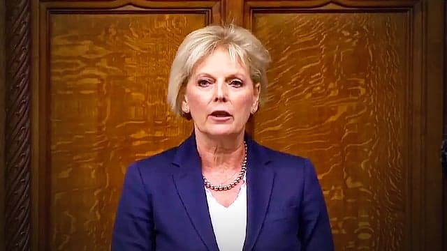 COMMENT: Is Anna Soubry now the official opposition to the madness of Hard Brexit? COMMENT: Is Anna Soubry now the official opposition to the madness of Hard Brexit?