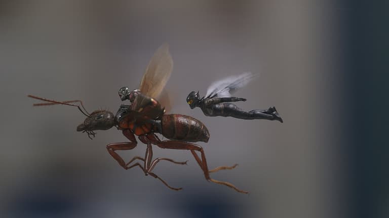 The U.S. reviews for Ant-Man & The Wasp are fantastic, but why do we have to wait so long before it comes out here? The U.S. reviews for Ant-Man & The Wasp are fantastic, but why do we have to wait so long before it comes out here?