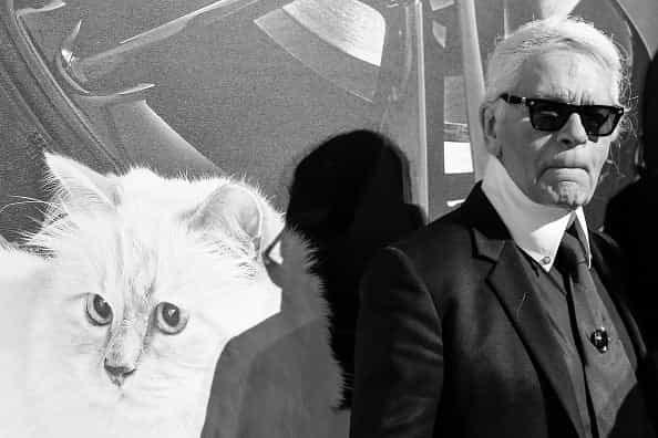 Karl Lagerfeld’s cat Choupette ‘to inherit’ his £150m fortune Karl Lagerfeld’s cat Choupette ‘to inherit’ his £150m fortune