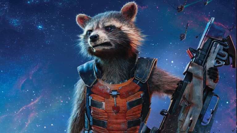 Real-life model for Rocket Racoon, Oreo The Racoon, has passed away Real-life model for Rocket Racoon, Oreo The Racoon, has passed away