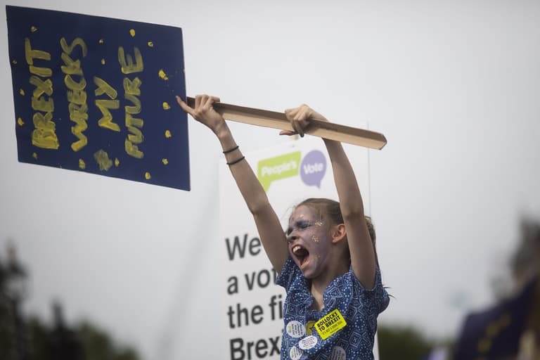 Three-quarters of young people would vote Remain in second referendum Three-quarters of young people would vote Remain in second referendum