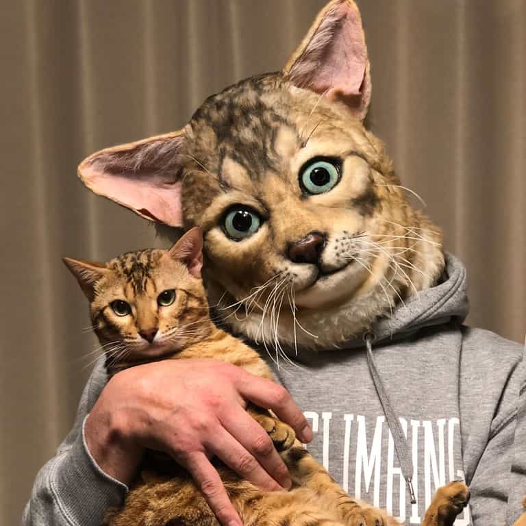 You can now get your cat’s face turned into a giant realistic mask You can now get your cat’s face turned into a giant realistic mask