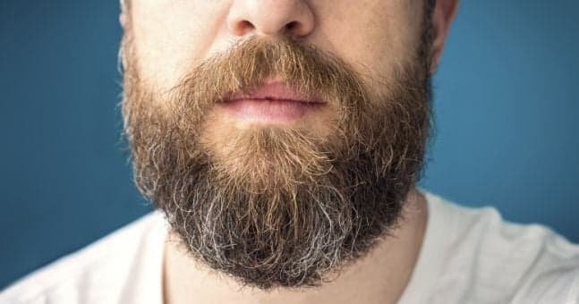Study finds that men with larger beards have smaller testicles Study finds that men with larger beards have smaller testicles
