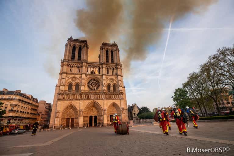 200,000 bees on Notre Dame roof survive fire 200,000 bees on Notre Dame roof survive fire