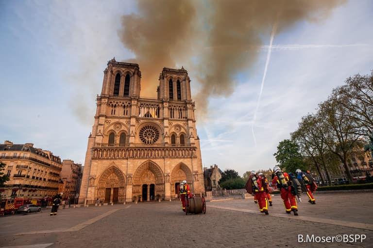 200,000 bees on Notre Dame roof survive fire 200,000 bees on Notre Dame roof survive fire