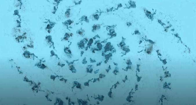 A deep dive on the symbols in Game of Thrones and what they could mean about the White Walkers A deep dive on the symbols in Game of Thrones and what they could mean about the White Walkers