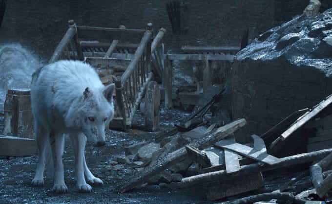 Game of Thrones director explains why Jon Snow didn’t give his wolf a goodbye pet Game of Thrones director explains why Jon Snow didn’t give his wolf a goodbye pet