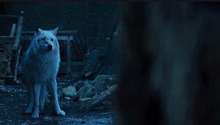 Something about Jon Snow and his wolf has annoyed a lot of people Something about Jon Snow and his wolf has annoyed a lot of people