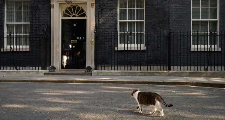 Larry the Cat had to be carried out of the way in order for Theresa May to resign Larry the Cat had to be carried out of the way in order for Theresa May to resign
