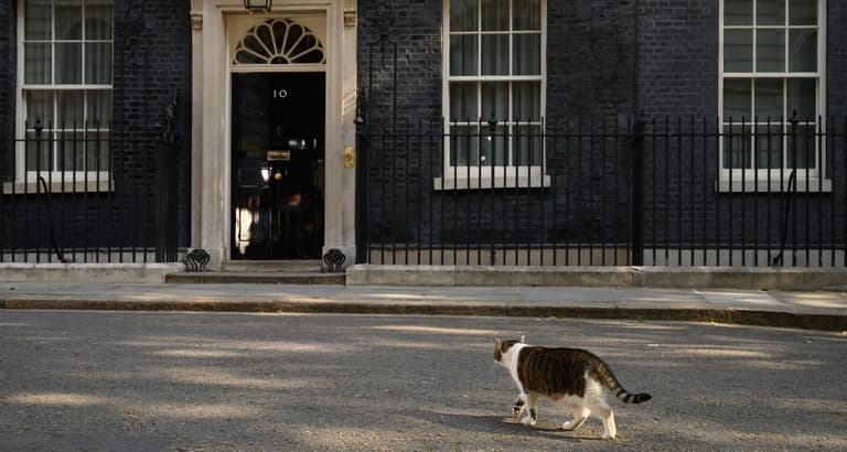 Larry the Cat had to be carried out of the way in order for Theresa May to resign Larry the Cat had to be carried out of the way in order for Theresa May to resign