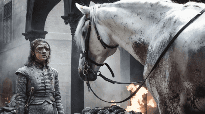 The white horse in the latest Game of Thrones has a great significance, fan theory suggests The white horse in the latest Game of Thrones has a great significance, fan theory suggests