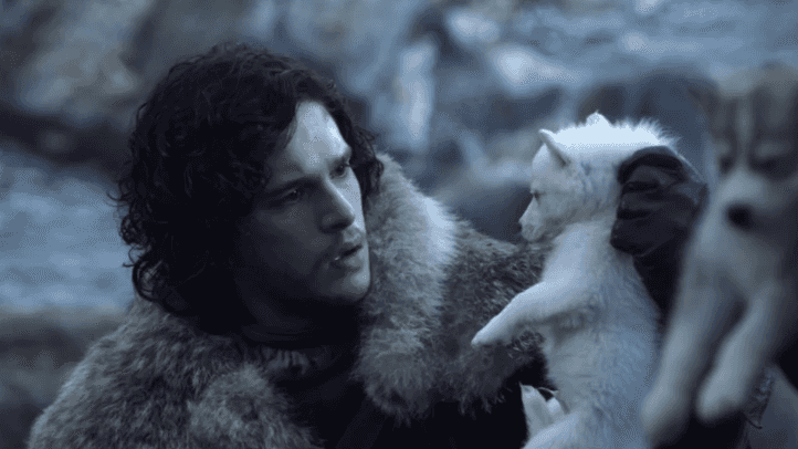 Game of Thrones fans delighted as Ghost gets the ending they always wanted Game of Thrones fans delighted as Ghost gets the ending they always wanted