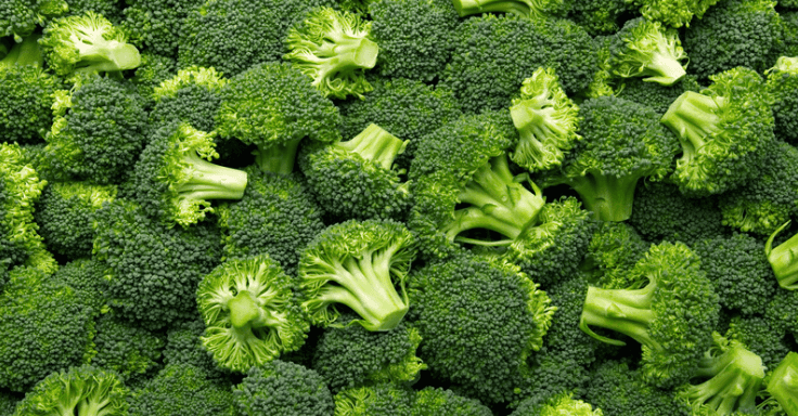 Broccoli can help prevent cancer from forming, new study says Broccoli can help prevent cancer from forming, new study says