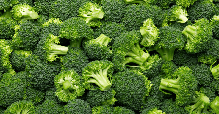 Broccoli can help prevent cancer from forming, new study says Broccoli can help prevent cancer from forming, new study says