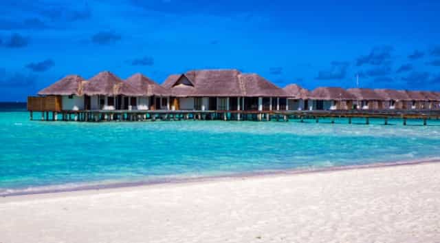 Luxury resort in the Maldives looking for someone to look after their turtles Luxury resort in the Maldives looking for someone to look after their turtles