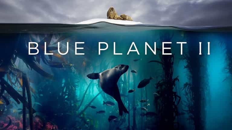 PSA: Blue Planet II is now on Netflix PSA: Blue Planet II is now on Netflix