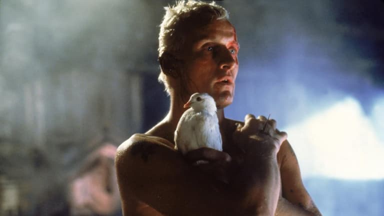 Rutger Hauer was the sort of actor who could give even the worst film a touch of true class Rutger Hauer was the sort of actor who could give even the worst film a touch of true class
