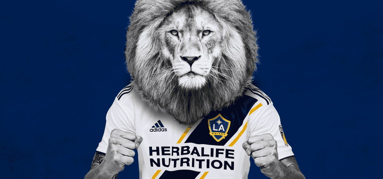 How Zlatan jumped the shark How Zlatan jumped the shark