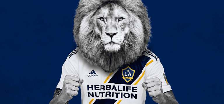 How Zlatan jumped the shark How Zlatan jumped the shark