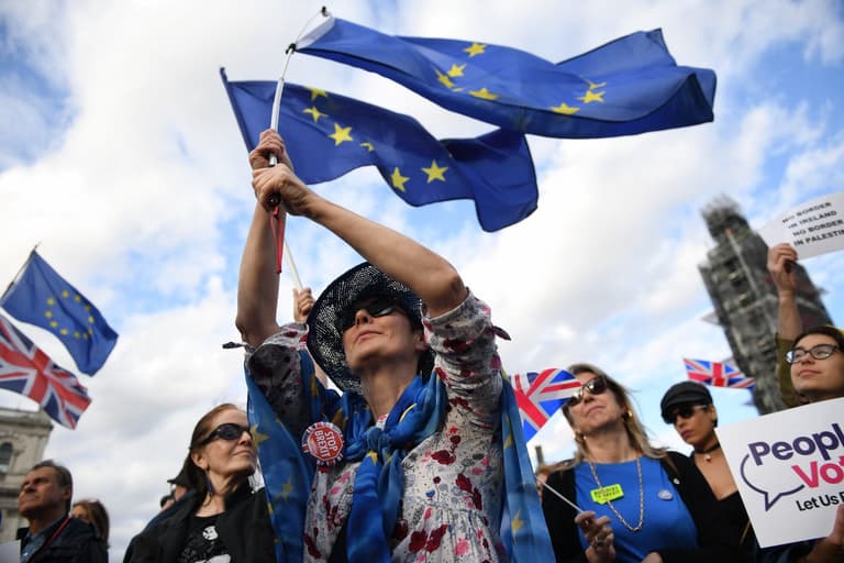 Leave and Remain supporters clash outside Westminster Leave and Remain supporters clash outside Westminster
