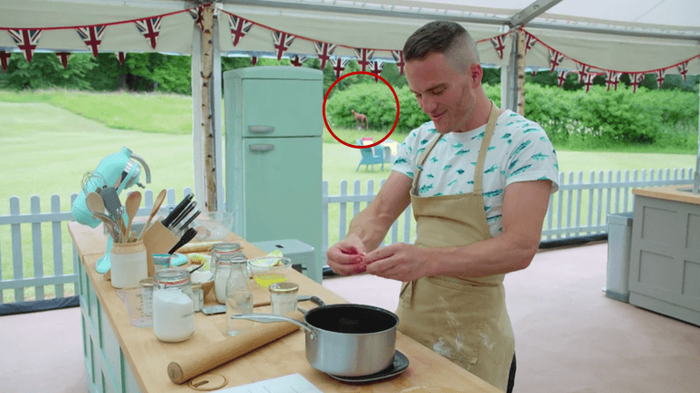 Six things you might have missed during this week’s GBBO Six things you might have missed during this week’s GBBO