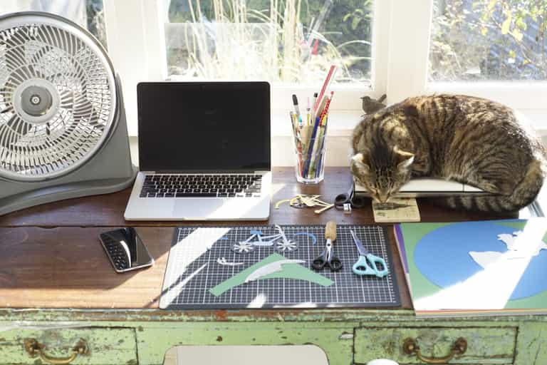 Working from home: Survival Guide Working from home: Survival Guide