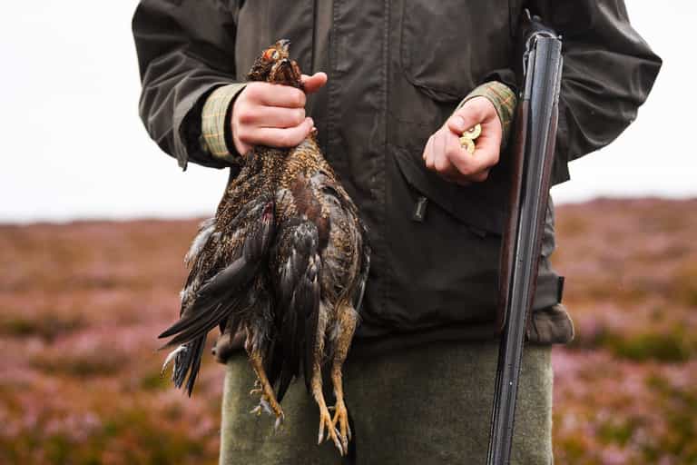 Government exempt hunting and grouse shoots from Rule of Six COVID law Government exempt hunting and grouse shoots from Rule of Six COVID law