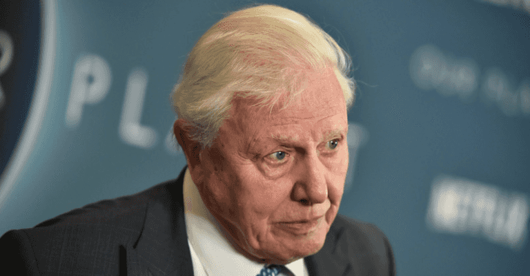 Extinction Rebellion confront David Attenborough at his home after he criticised the group Extinction Rebellion confront David Attenborough at his home after he criticised the group