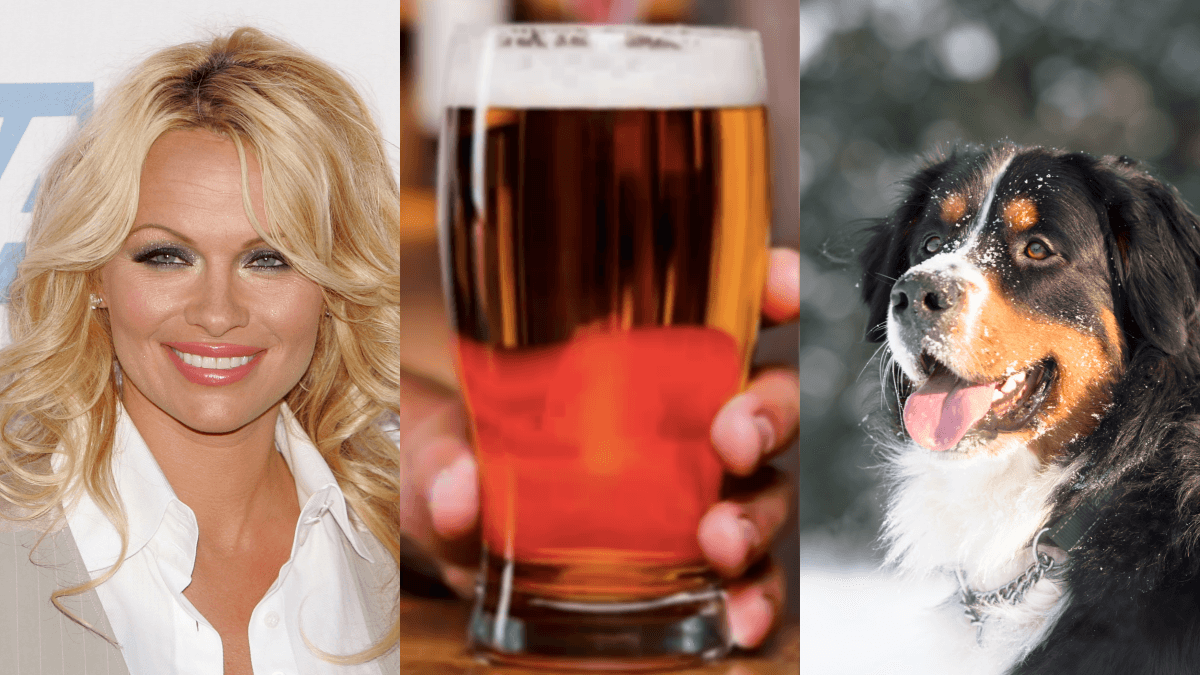 The JOE Friday Pub Quiz: Week 215
