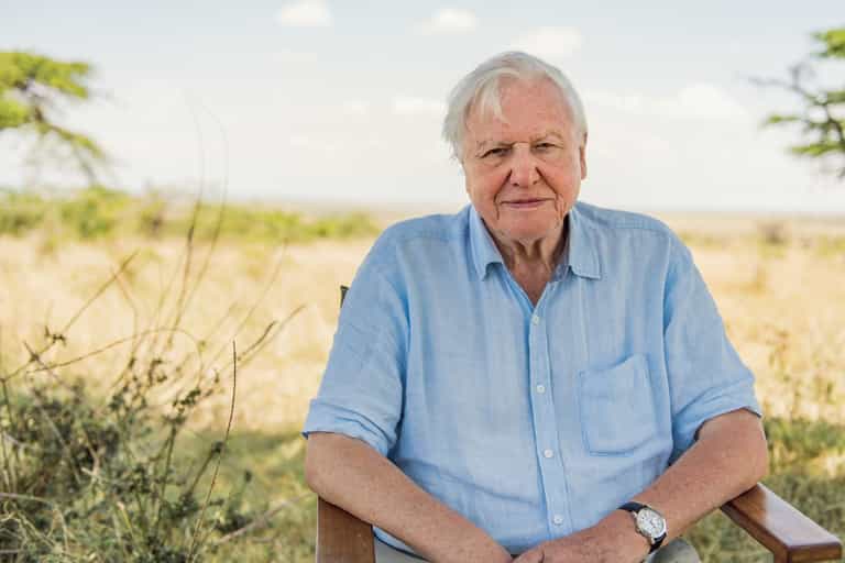 David Attenborough quits Instagram just two months after joining David Attenborough quits Instagram just two months after joining