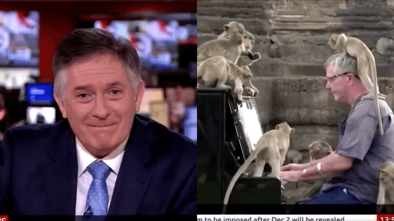 BBC newsreader cracks up on air presenting story on man playing piano for monkeys BBC newsreader cracks up on air presenting story on man playing piano for monkeys