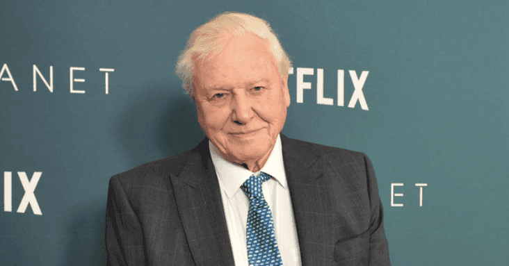 Sir David Attenborough ‘punched the air’ when Donald Trump lost the presidential election Sir David Attenborough ‘punched the air’ when Donald Trump lost the presidential election