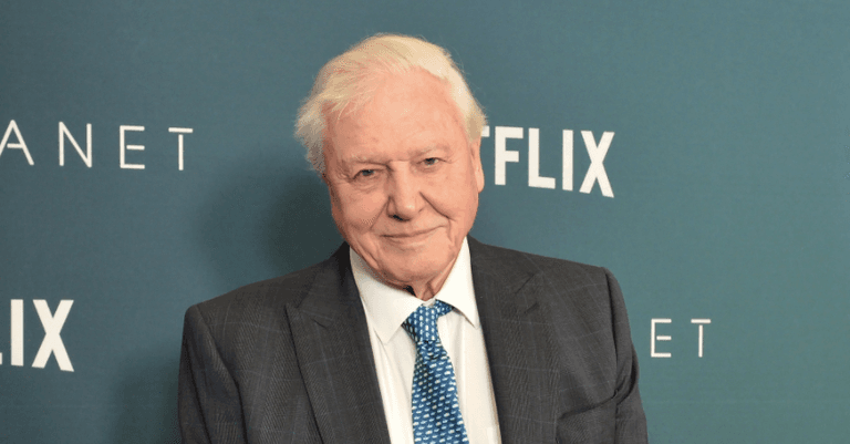Sir David Attenborough describes the most heartbreaking moment of his 60-year career Sir David Attenborough describes the most heartbreaking moment of his 60-year career